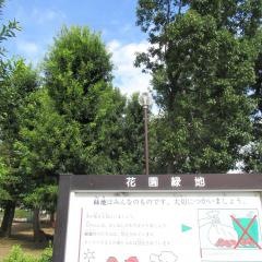 花園緑地