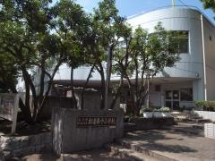 杉並第十小学校