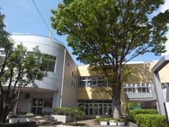 杉並第十小学校