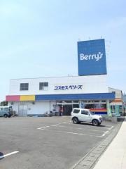 コスモスベリーズ由比店