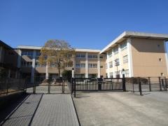 桜小学校