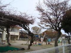 くす南保育園