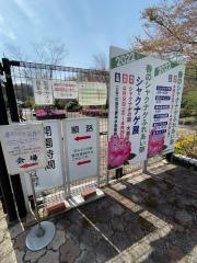 花みどり公園