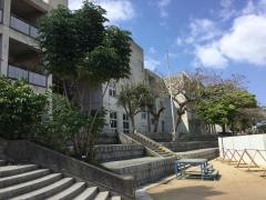 城南小学校