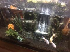 割ぽう仕出し田丸屋