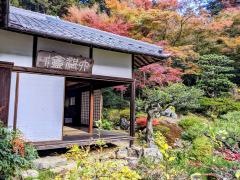 青岸寺庭園