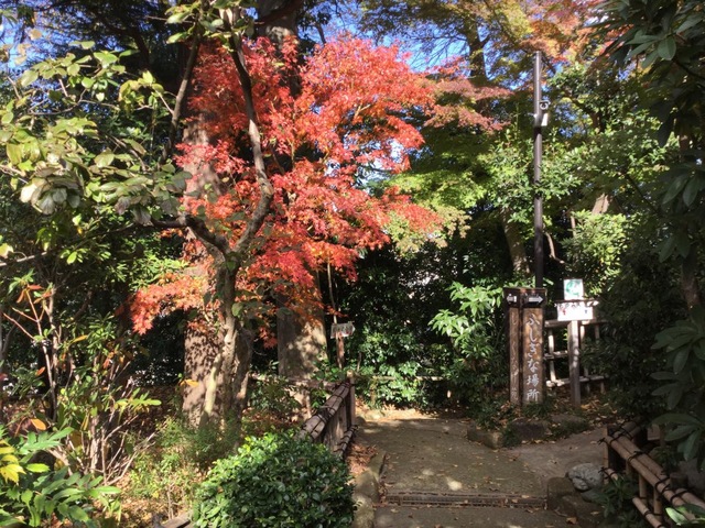 投稿写真2