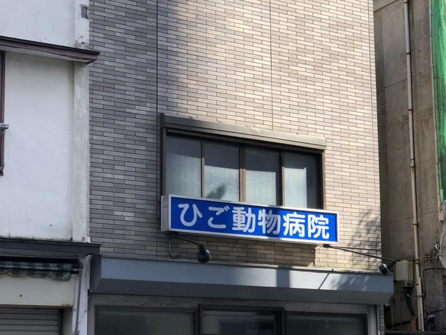 投稿写真4