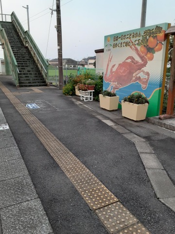 投稿写真7