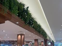ひごペットフレンドリー　くずはモール店