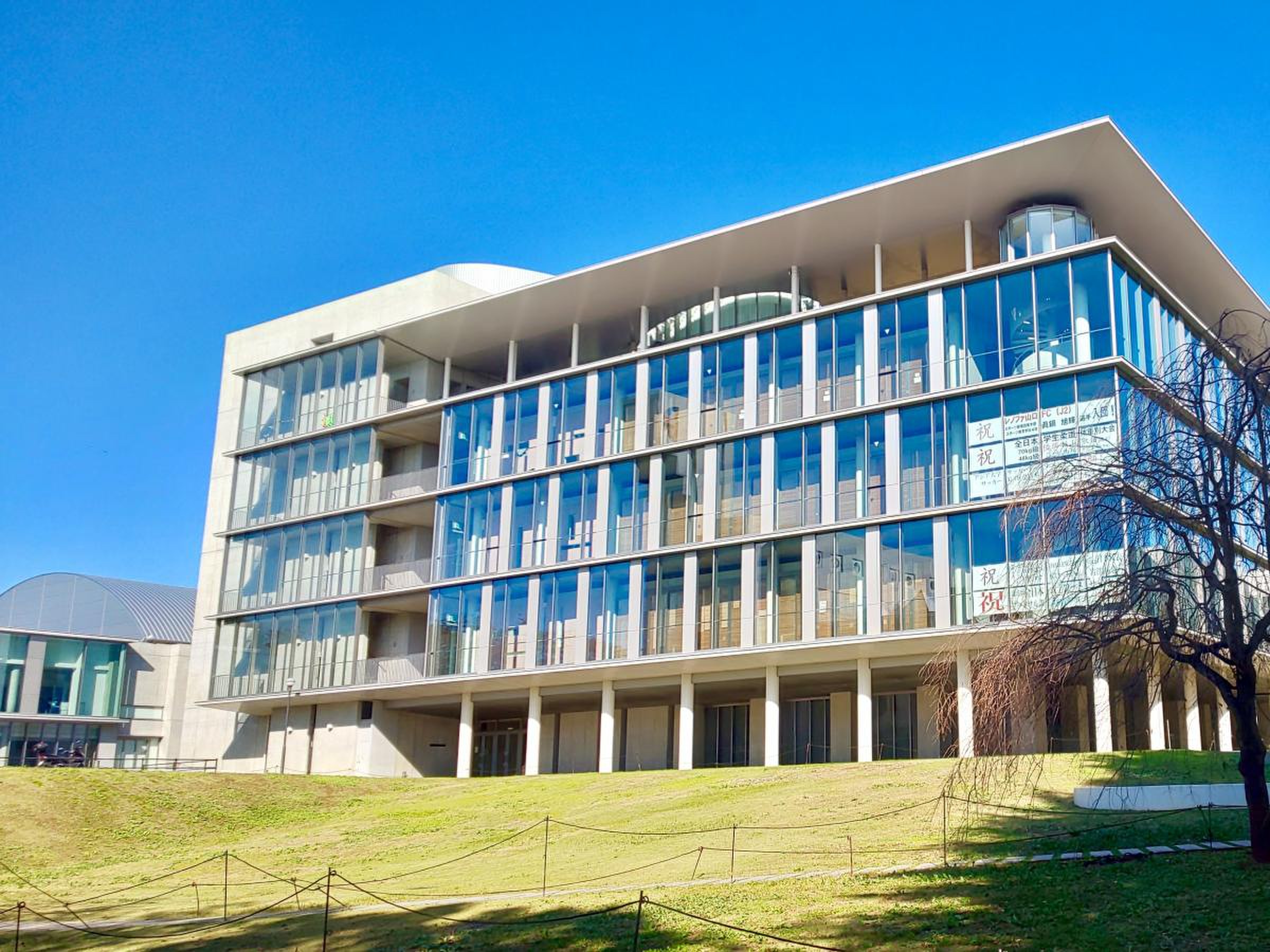 桐 蔭 横浜 大学