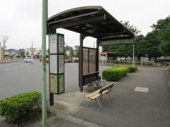 「団地南(東新井団地)」バス停留所