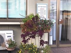 藤井歯科医院