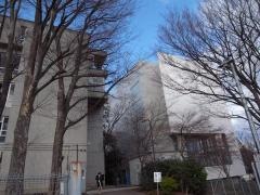 成城大学