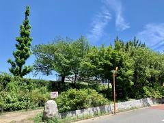 亀戸九丁目緑道公園