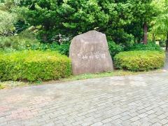 仙川公園