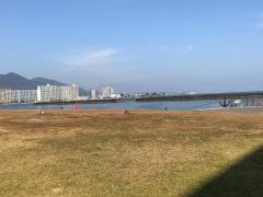 びわこ花噴水