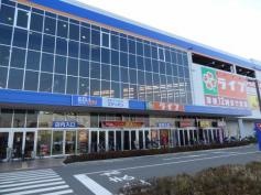 ドラッグスギ　枚方甲斐田店