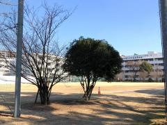 熊本学園大学付属高等学校