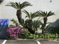 のりまつ医院