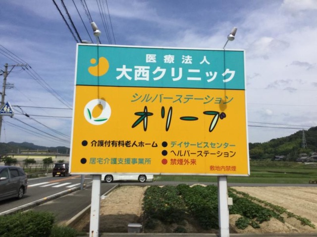 オリーブ