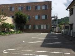 オリーブ