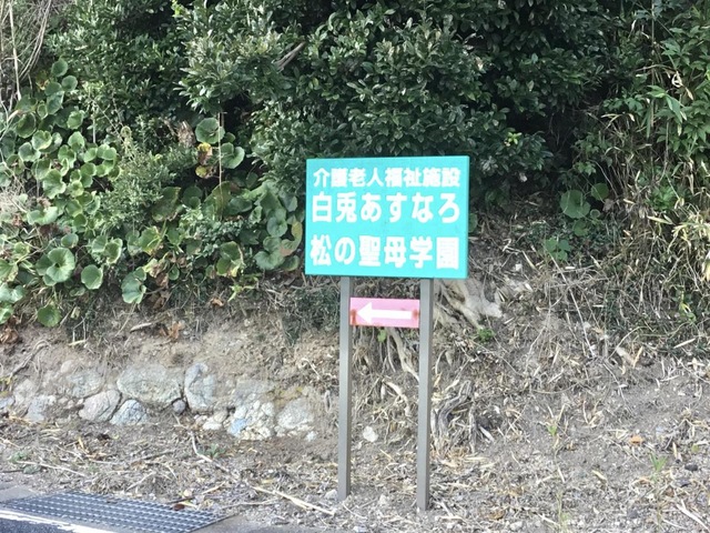 白兎あすなろ