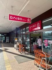 ザ・ダイソー　イオンタウン金成店