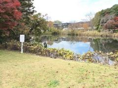 米山寺公園