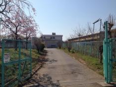 市の川小学校