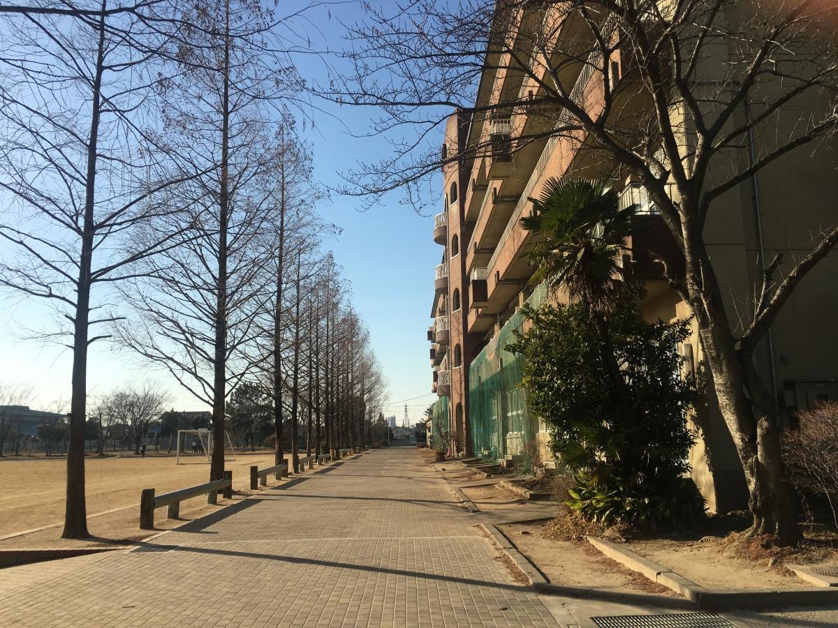 校庭