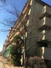 越谷市立大相模中学校