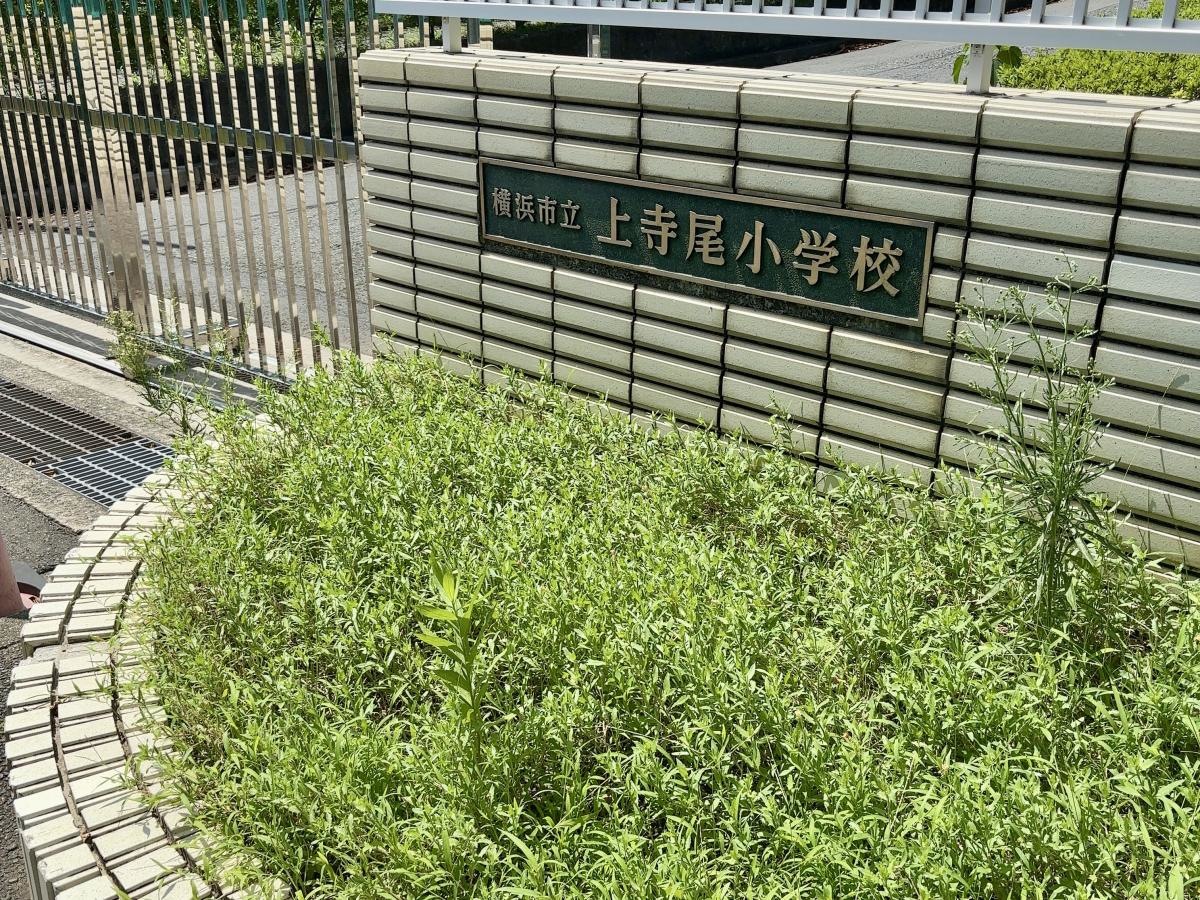 上寺尾小学校
