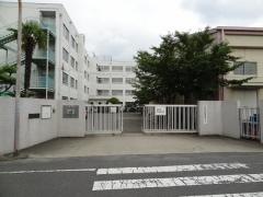 冠小学校
