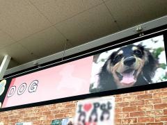 ペットプラザ南十番町店