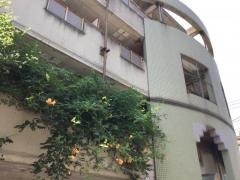 山田医院歯科