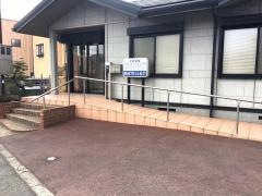 高石皮フ科