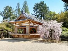 市原稲荷神社