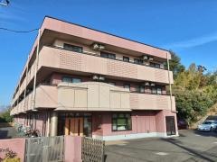 家族の家ひまわり聖蹟桜ヶ丘