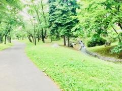 西野緑道