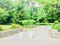 西野緑道