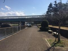 荒子川緑道