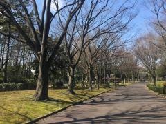 荒子川緑道
