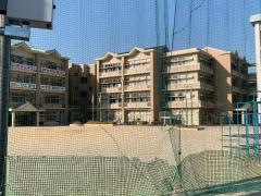野洲小学校