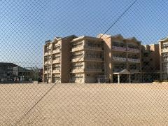 野洲小学校