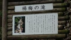 楊梅の滝
