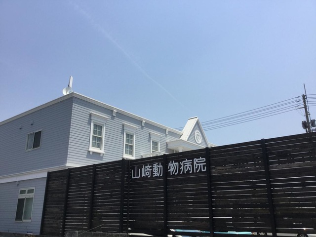 投稿写真7