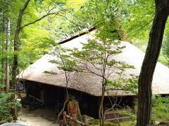 山菜料理みたき園