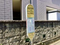 「大磯小学校前」バス停留所