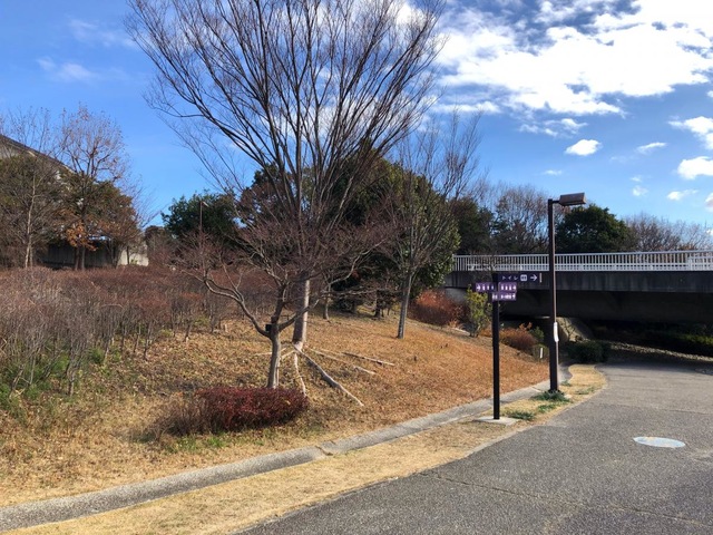 施設写真19